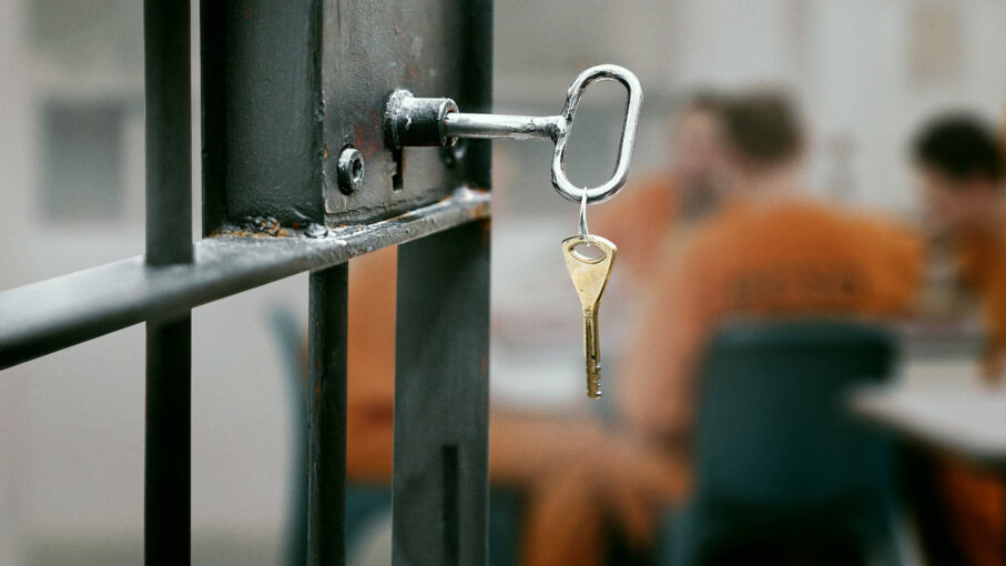 polisiye seyir rehberi